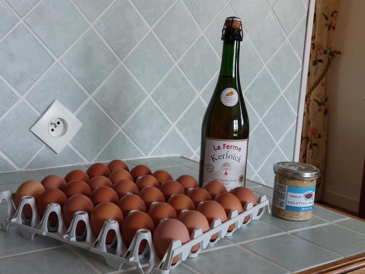 TY ANN maison avec jardin clos de mur, à proximité des commerces et à 3km des plages Penvénan Extérieur photo